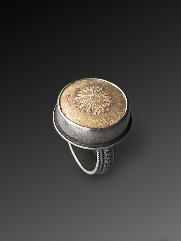 Agatized Fossil Coral Ring, Size 7.75